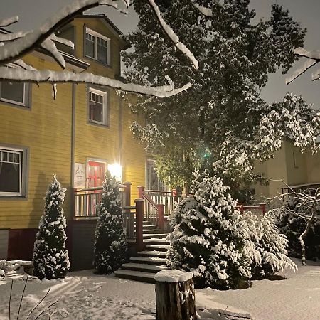 Guest House Mr Fox Druskininkai Dış mekan fotoğraf