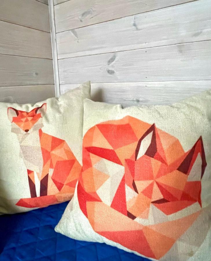 Guest House Mr Fox Druskininkai Dış mekan fotoğraf